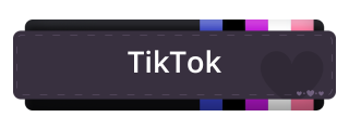 TikTok Panel from Genderfluid Pride Panel Theme.